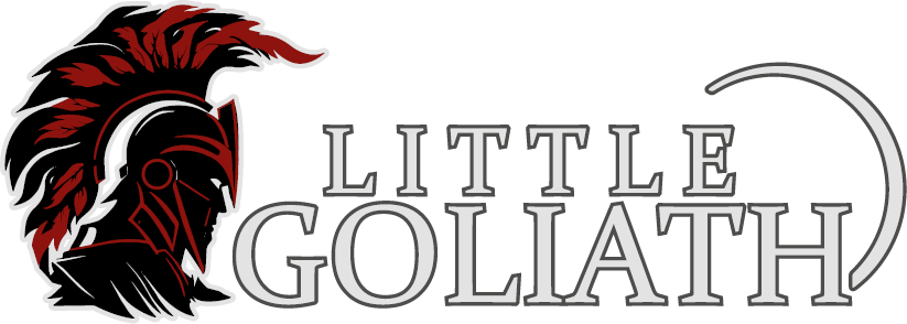 Littlegoliath.co.za