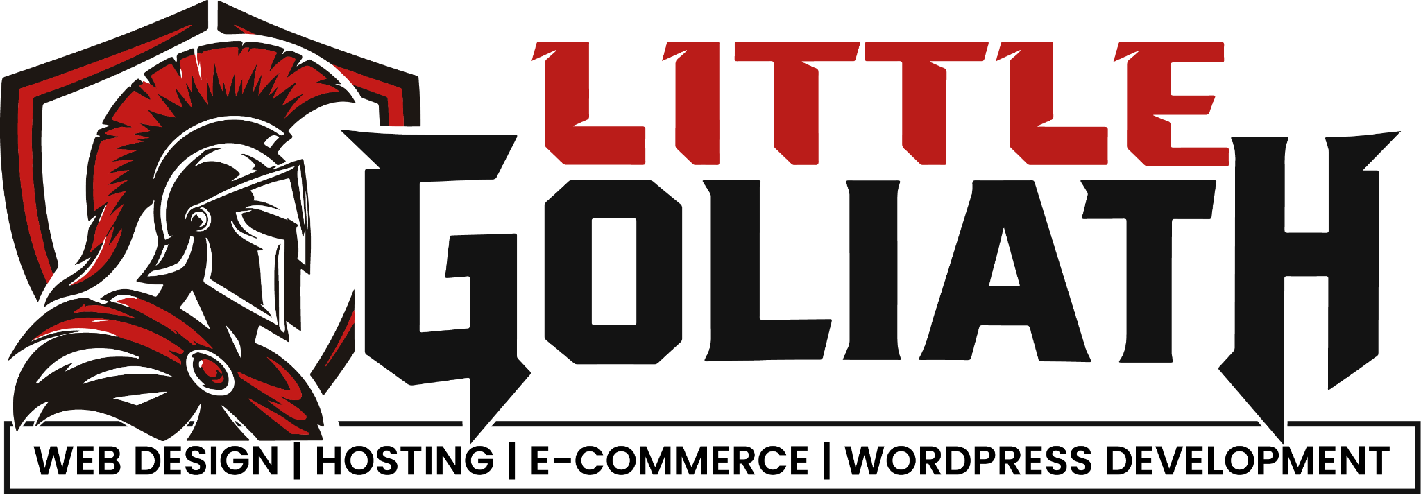 LittleGoliath Web Design, Hosting and WordPress Development